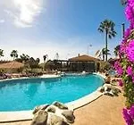 Ona Sueno Azul Callao Salvaje