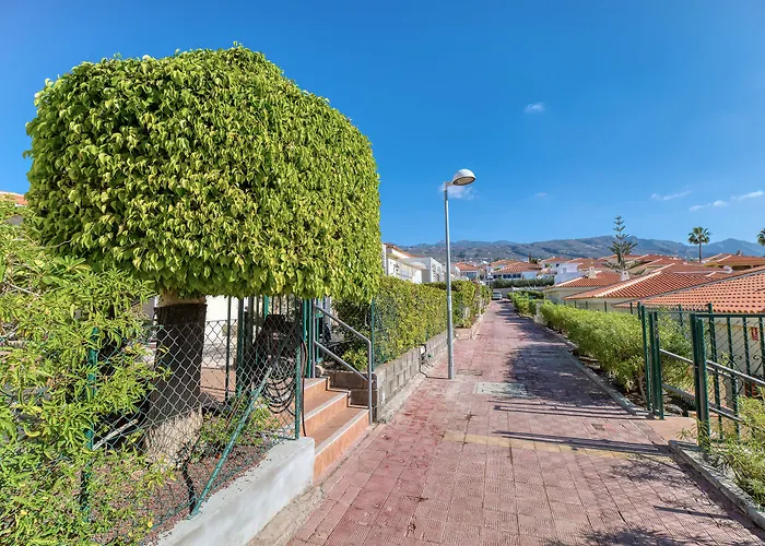 Ona Sueño Azul Callao Salvaje