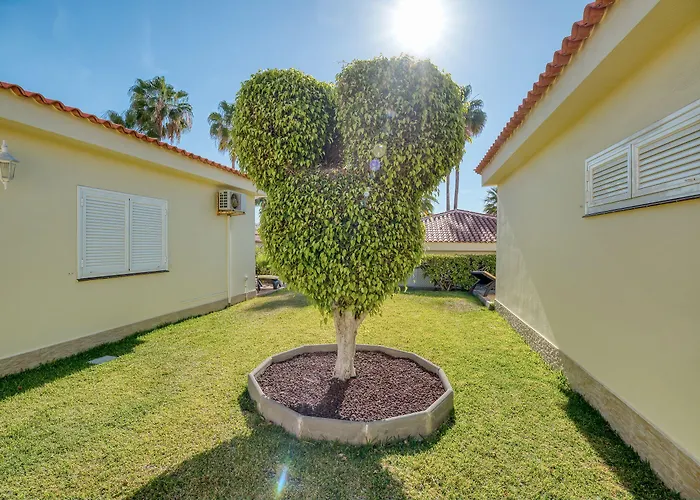 Ona Sueno Azul 칼라오살바헤